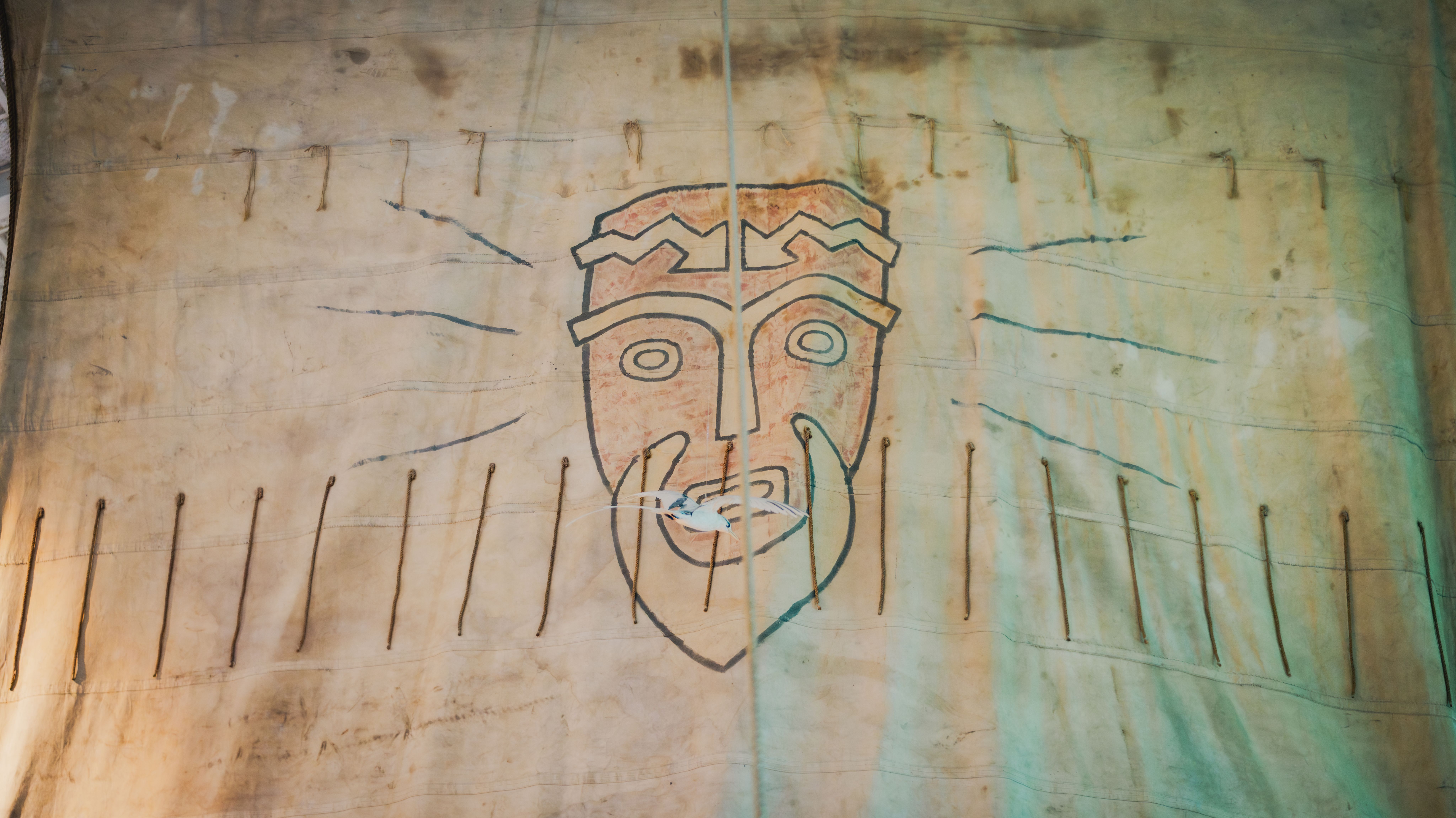 The Kon-Tiki sail
