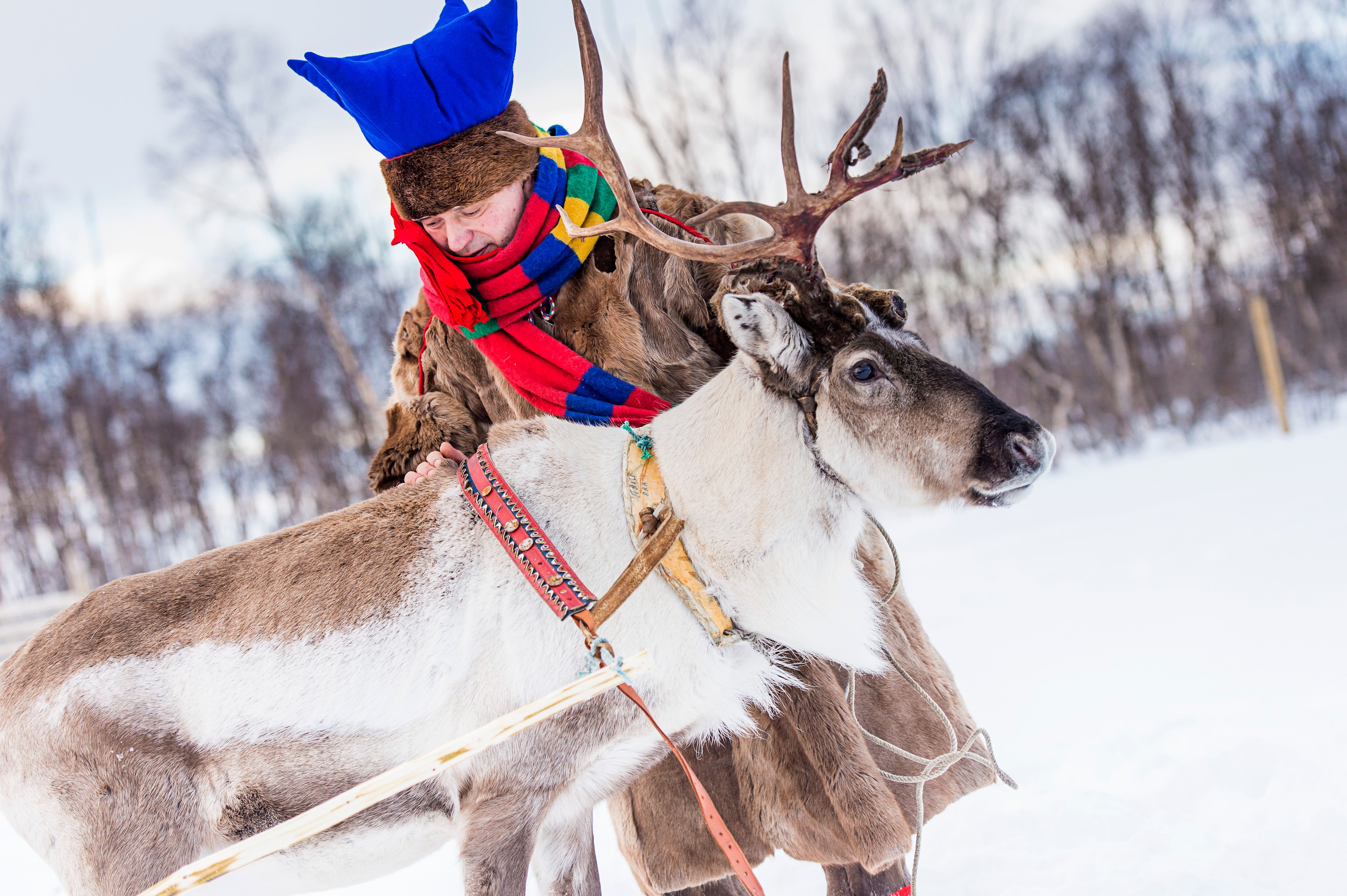 Sami culture