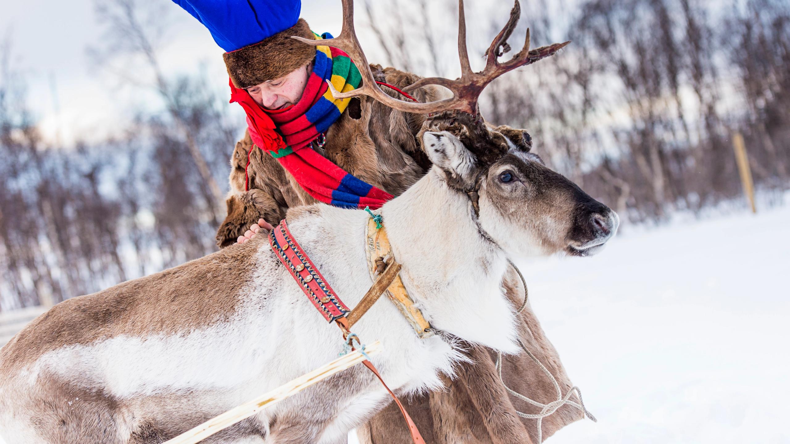 Sami culture