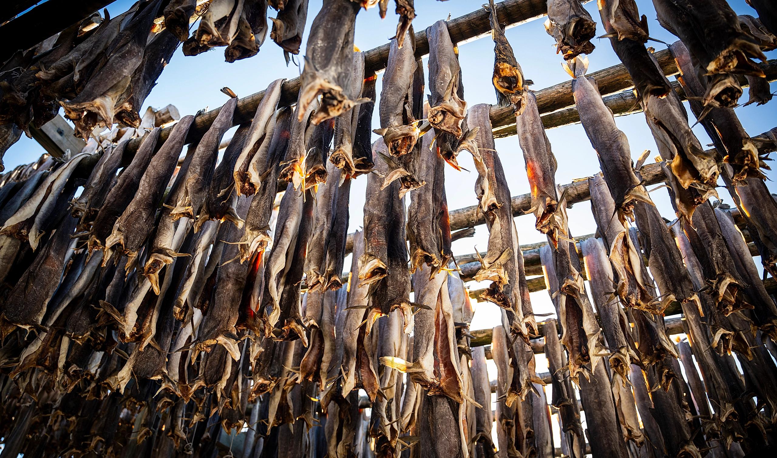 Stockfish of skrei